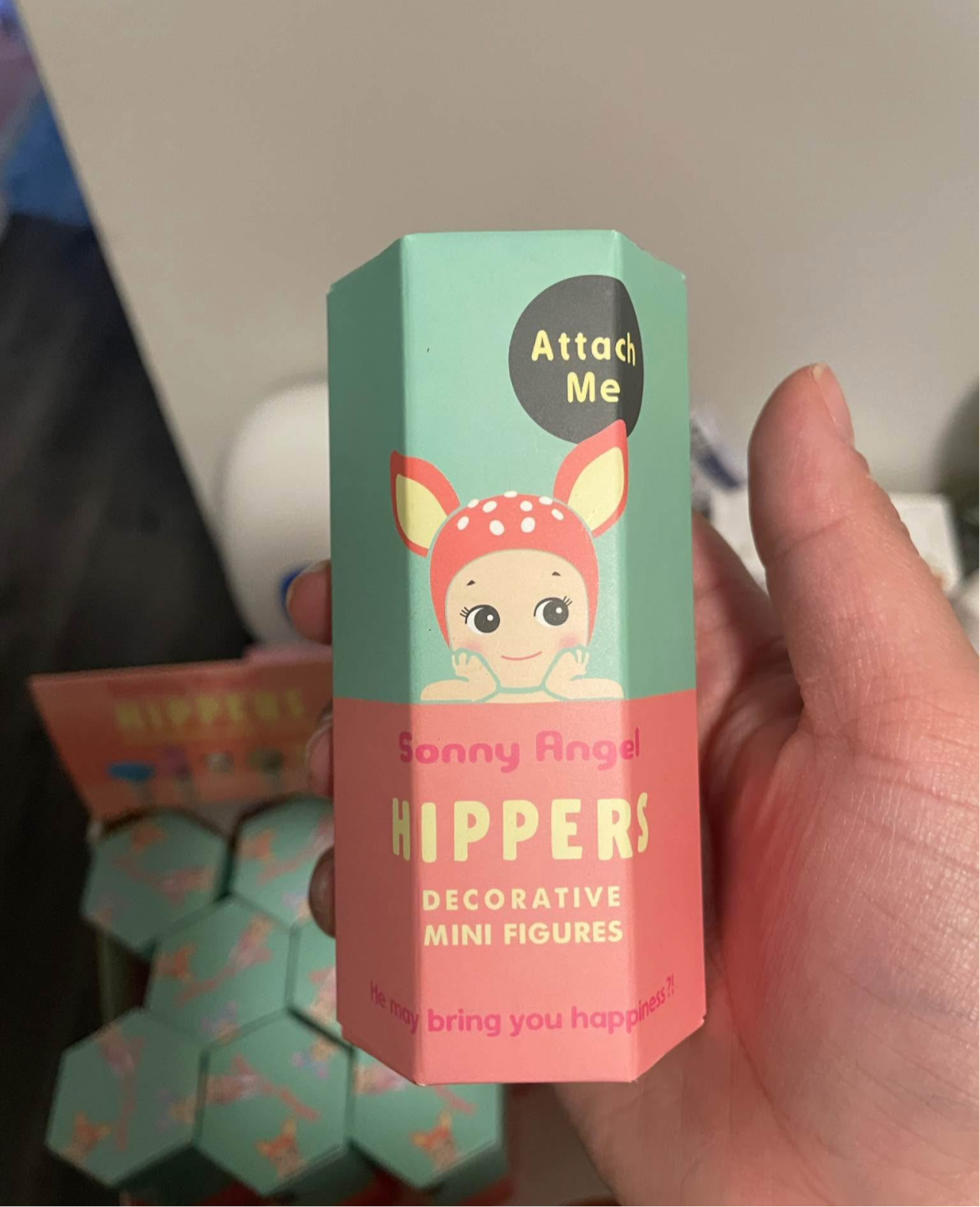 Sonny Angel Hippers