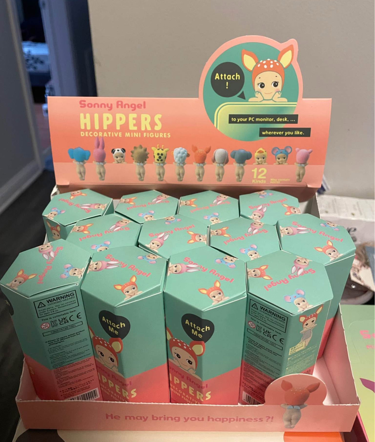 Sonny Angel Hippers